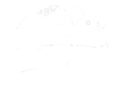 BM For Web